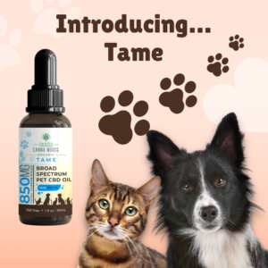 For your pet