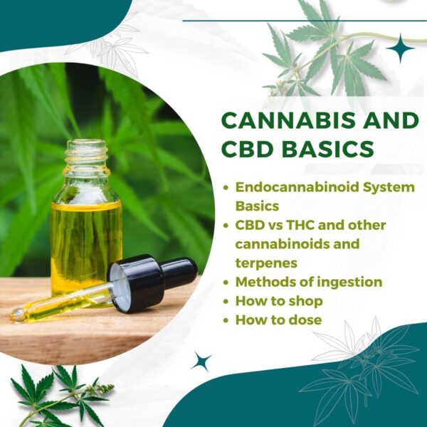 Cannabis Basics Webinar
